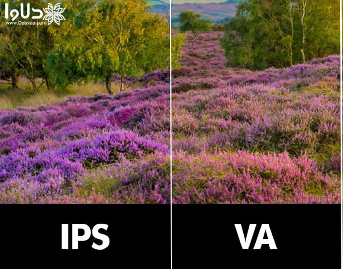 مقایسه پنل IPS با پنل VA 